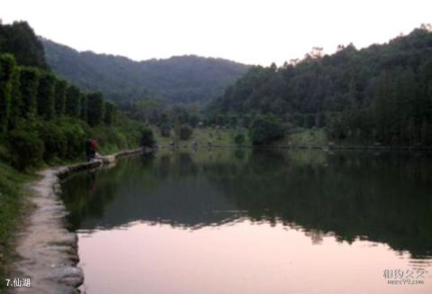 深圳弘法寺旅游攻略 之 仙湖