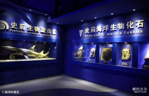 抚顺皇家海洋乐园旅游攻略 之 海洋科普区