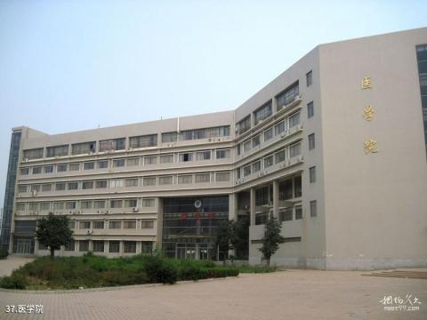 河南大学校园风光 之 医学院