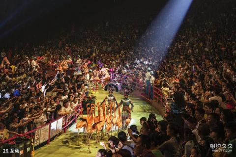 广州长隆旅游度假区旅游攻略 之 互动 广州长隆旅游度假区旅游攻略 之 互动
