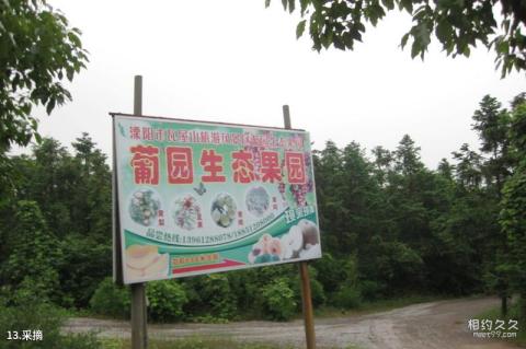 句容九龙山风景名胜区旅游攻略 之 采摘