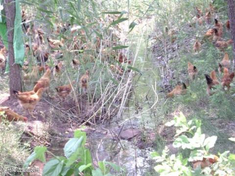 徐州新沂马陵山旅游攻略 之 马陵山生态农庄 徐州新沂马陵山旅游攻略 之 马陵山生态农庄
