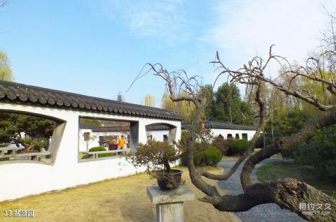 合肥逍遥津公园旅游攻略 之 盆景园 合肥逍遥津公园旅游攻略 之 盆景园