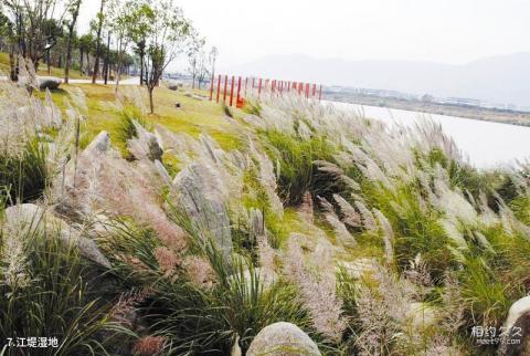 台州黄岩永宁公园旅游攻略 之 江堤湿地