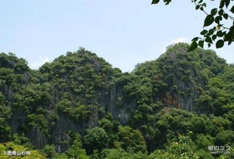 兴业鹿峰山风景区旅游攻略 之 鹿峰山石林 兴业鹿峰山风景区旅游攻略 之 鹿峰山石林
