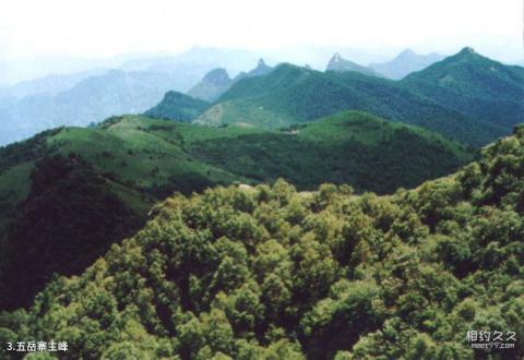 北戴河碧螺塔酒吧公园旅游攻略 北戴河碧螺塔酒吧公园旅游攻略