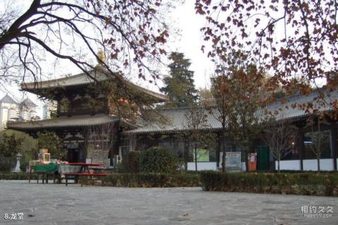 西安兴庆宫公园旅游攻略 之 龙堂