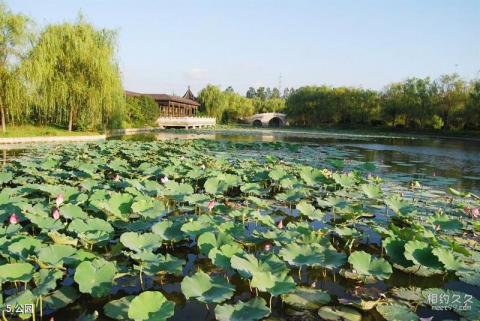 盐城世纪公园旅游攻略 之 公园