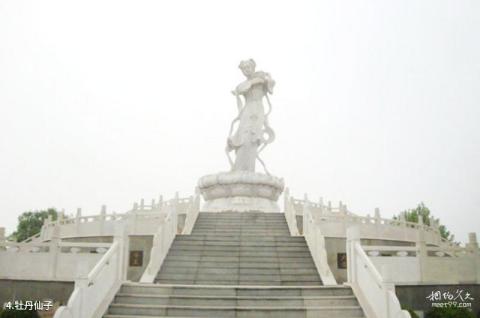 寿光中华牡丹园旅游攻略 之 牡丹仙子 寿光中华牡丹园旅游攻略 之 牡丹仙子