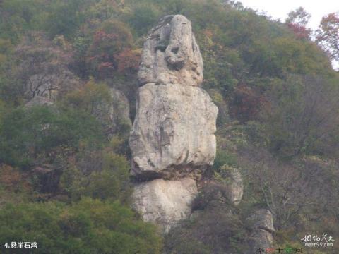 成县鸡峰山旅游攻略 之 悬崖石鸡