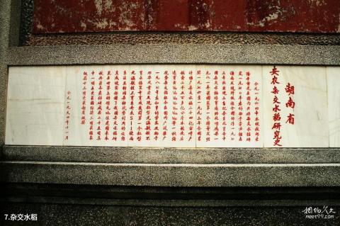 湖南安江农校纪念园旅游攻略 之 杂交水稻 湖南安江农校纪念园旅游攻略 之 杂交水稻