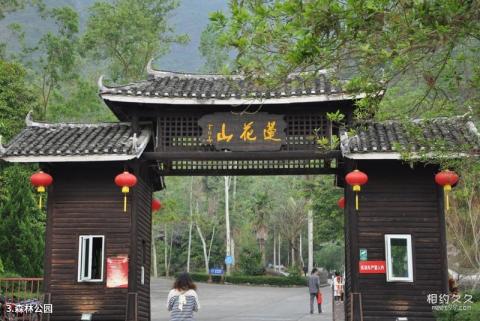 汕尾海丰莲花山度假村旅游攻略 之 森林公园