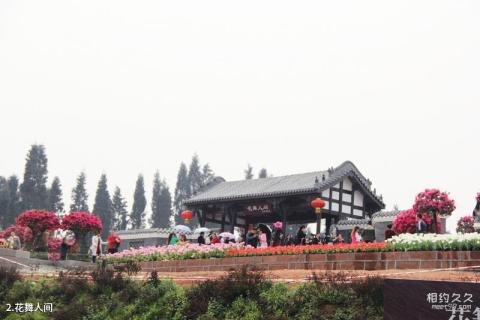 新津花舞人间旅游攻略 之 花舞人间 新津花舞人间旅游攻略 之 花舞人间