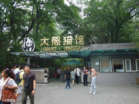 北京动物园旅游攻略 之 大熊猫馆