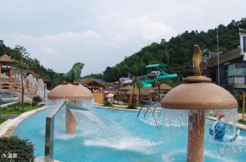 郴州龙女景区旅游攻略 之 温泉 郴州龙女景区旅游攻略 之 温泉