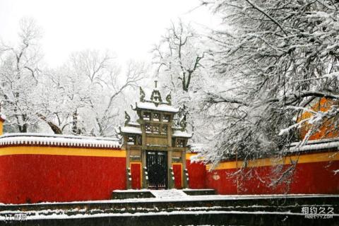 长沙岳麓书院旅游攻略 之 雪景