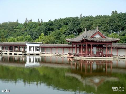 荆州江陵盆景园旅游攻略 之 水榭