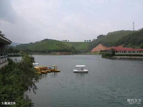 中牟雁鸣湖景区旅游攻略 之 雁湖泛舟