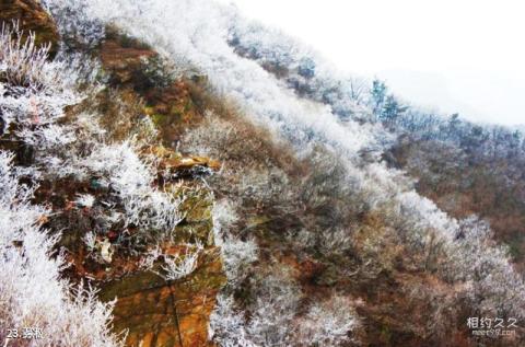 连云港海上云台山旅游攻略 之 雾凇