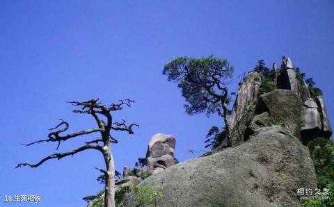 江西上饶三清山旅游攻略 之 生死相依 江西上饶三清山旅游攻略 之 生死相依