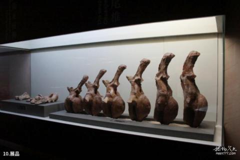禄丰世界恐龙谷旅游攻略 之 展品