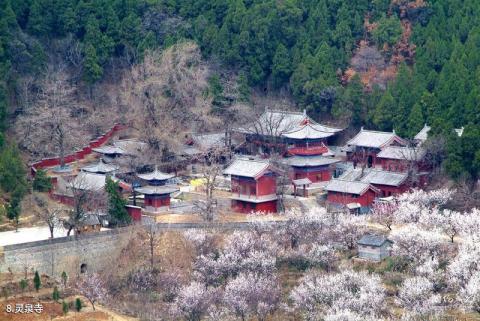 临沂国际影视城旅游攻略 临沂国际影视城旅游攻略