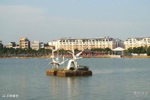 贵港东湖公园旅游攻略 之 天鹅雕塑