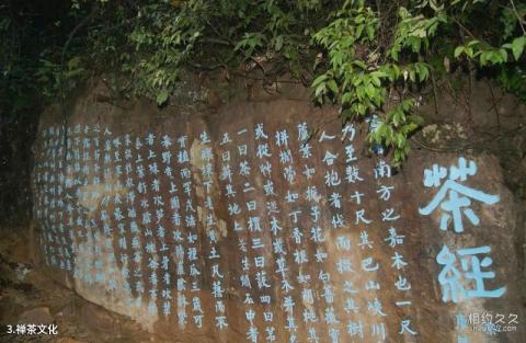 邵武瀑布林生态旅游区旅游攻略 之 禅茶文化 邵武瀑布林生态旅游区旅游攻略 之 禅茶文化