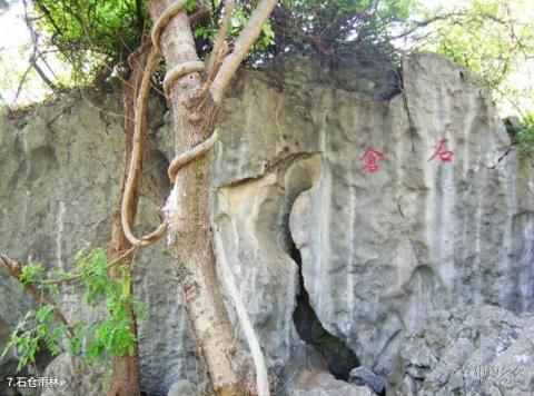 京山太子山王莽洞旅游攻略 之 石仓雨林 京山太子山王莽洞旅游攻略 之 石仓雨林