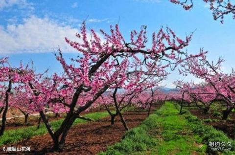 北京平谷桃花海景区旅游攻略 之 峨嵋山花海