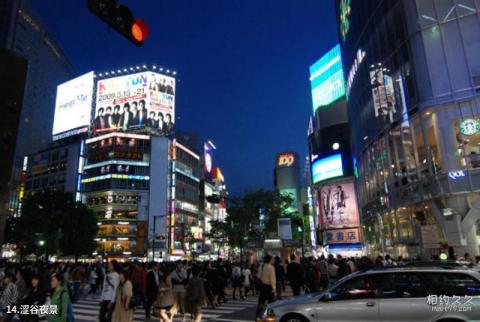 日本东京旅游攻略 之 涩谷夜景