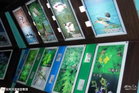 双鸭山安邦河湿地公园旅游攻略 之 安邦河湿地宣教馆 双鸭山安邦河湿地公园旅游攻略 之 安邦河湿地宣教馆
