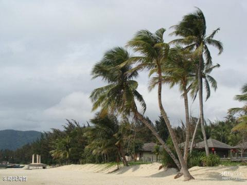 万宁石梅湾旅游度假区旅游攻略 之 椰风海韵