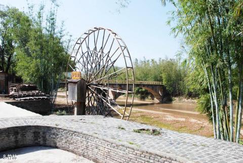 广东河源苏家围古村旅游攻略 之 竹林