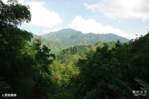广西九万山国家级自然保护区旅游攻略 之 原始森林 广西九万山国家级自然保护区旅游攻略 之 原始森林