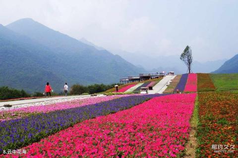 巫溪红池坝风景区旅游攻略 之 云中花海 巫溪红池坝风景区旅游攻略 之 云中花海