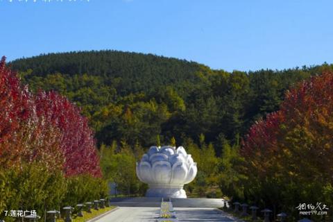 大连横山寺森林公园旅游攻略 之 莲花广场 大连横山寺森林公园旅游攻略 之 莲花广场