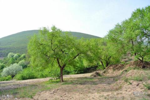 锡林郭勒盟多伦湖旅游攻略 之 青山