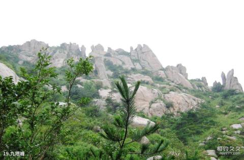 海阳招虎山国家森林公园旅游攻略 之 九塔峰
