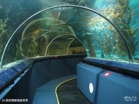 新西兰奥克兰旅游攻略 之 凯利塔顿海底世界 新西兰奥克兰旅游攻略 之 凯利塔顿海底世界