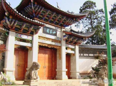 大理市洱海公园旅游攻略 之 山茶园