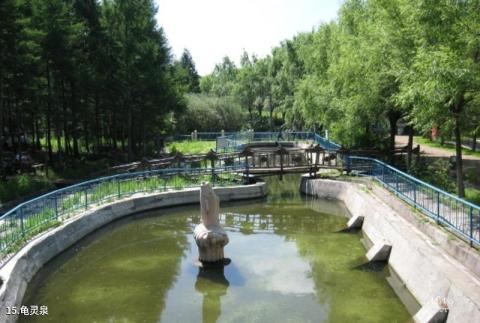 绥化金龟山庄旅游攻略 之 龟灵泉