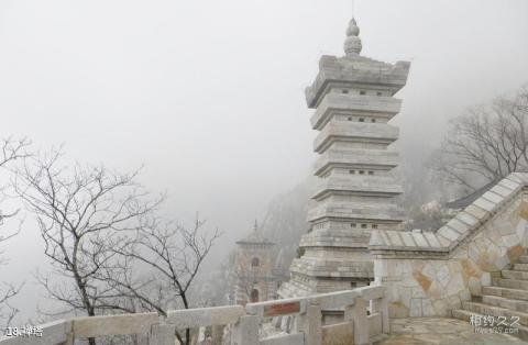 嵩山少林寺三皇寨旅游攻略 之 禅塔