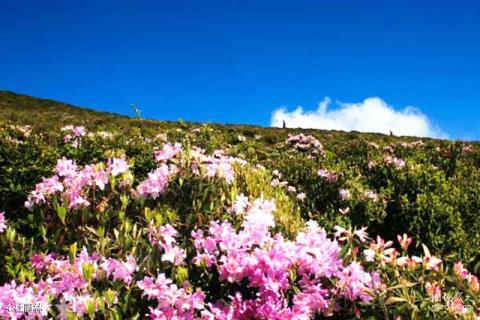 本溪东风湖度假村旅游攻略 本溪东风湖度假村旅游攻略