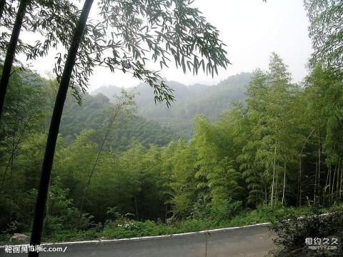 咸宁赤壁旅游区旅游攻略 之 星星竹海 咸宁赤壁旅游区旅游攻略 之 星星竹海