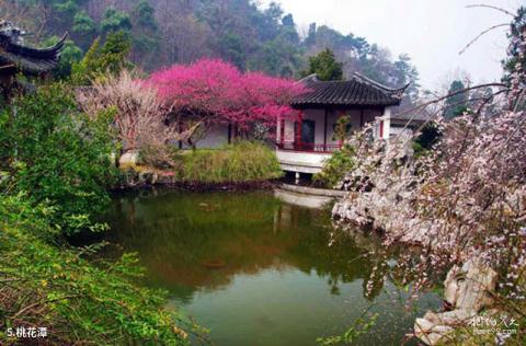 黄岩九峰公园旅游攻略 之 桃花潭
