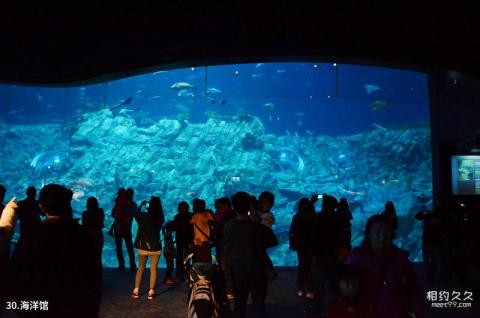 香港海洋公园旅游攻略 之 海洋馆