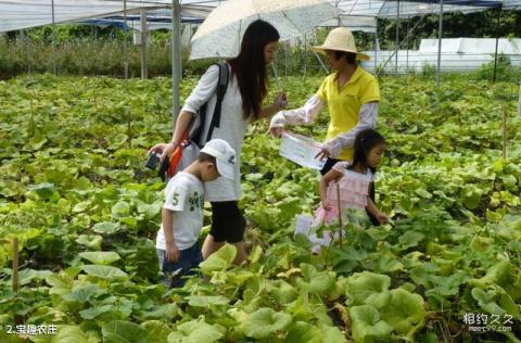 广东宝趣玫瑰世界旅游攻略 之 宝趣农庄 广东宝趣玫瑰世界旅游攻略 之 宝趣农庄