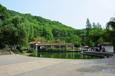宜宾翠屏山公园旅游攻略 之 风景
