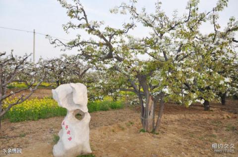 宁夏黄河横城旅游度假区旅游攻略 宁夏黄河横城旅游度假区旅游攻略
